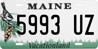 ME license plate 5993UZ