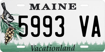 ME license plate 5993VA