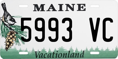 ME license plate 5993VC