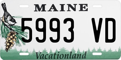 ME license plate 5993VD