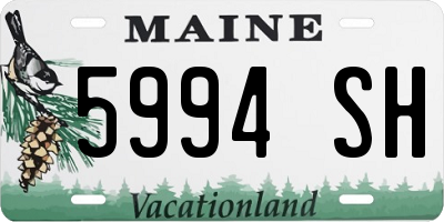 ME license plate 5994SH