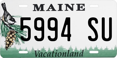 ME license plate 5994SU