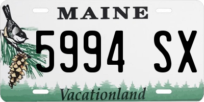 ME license plate 5994SX