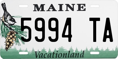 ME license plate 5994TA