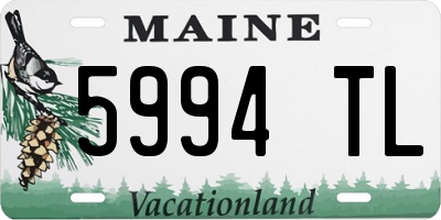 ME license plate 5994TL