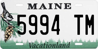 ME license plate 5994TM
