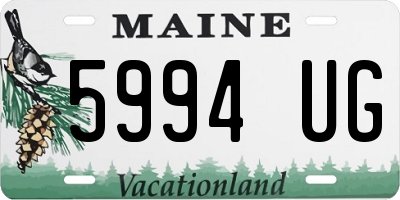 ME license plate 5994UG
