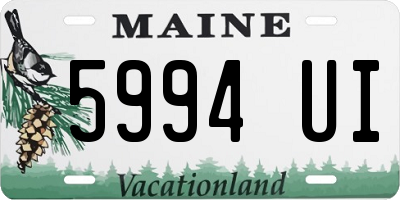 ME license plate 5994UI