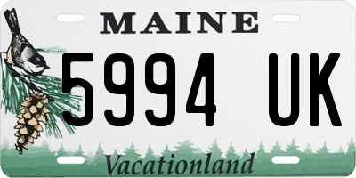 ME license plate 5994UK