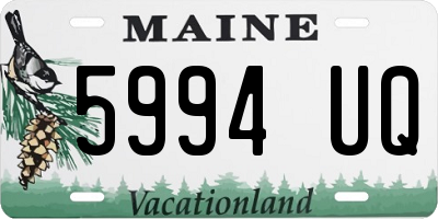 ME license plate 5994UQ