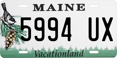 ME license plate 5994UX