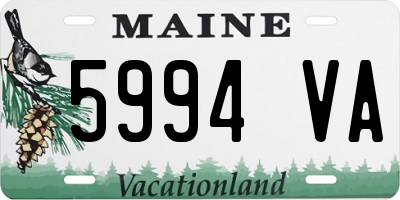 ME license plate 5994VA