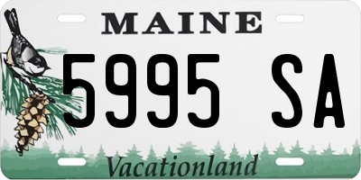 ME license plate 5995SA