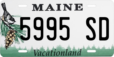 ME license plate 5995SD