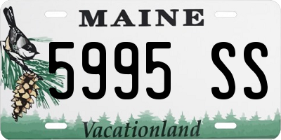 ME license plate 5995SS
