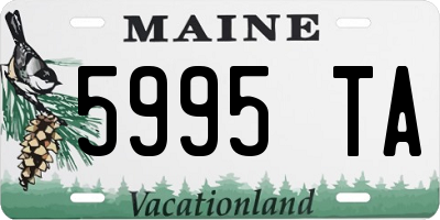 ME license plate 5995TA