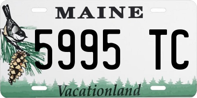 ME license plate 5995TC