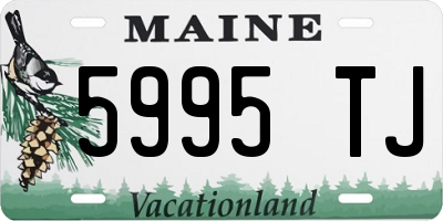 ME license plate 5995TJ