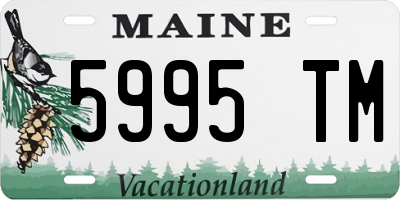 ME license plate 5995TM