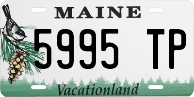 ME license plate 5995TP