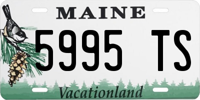 ME license plate 5995TS