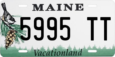 ME license plate 5995TT