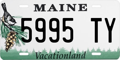 ME license plate 5995TY