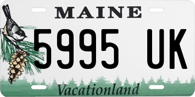 ME license plate 5995UK