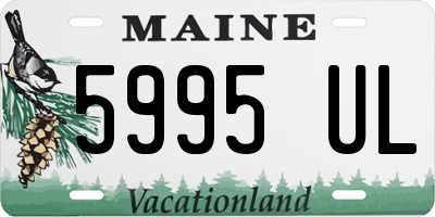 ME license plate 5995UL