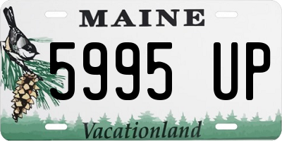 ME license plate 5995UP