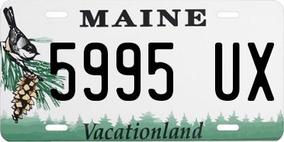 ME license plate 5995UX