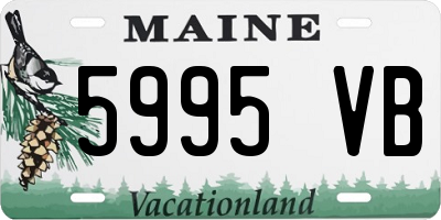 ME license plate 5995VB