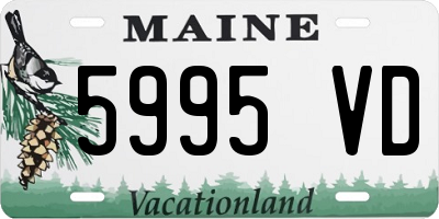 ME license plate 5995VD