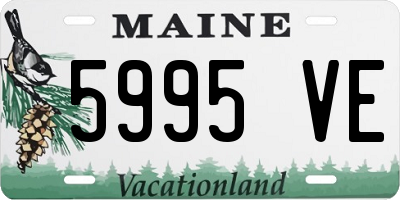 ME license plate 5995VE