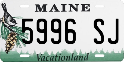 ME license plate 5996SJ