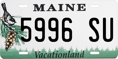 ME license plate 5996SU