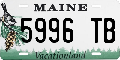 ME license plate 5996TB