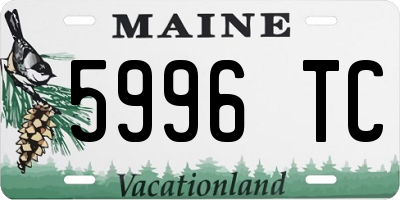 ME license plate 5996TC