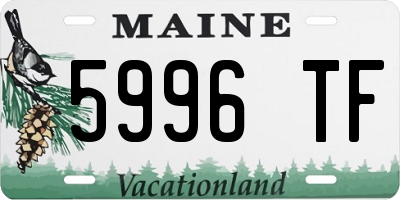 ME license plate 5996TF