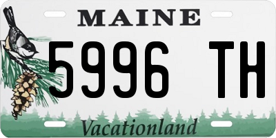 ME license plate 5996TH