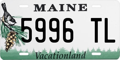 ME license plate 5996TL