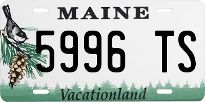 ME license plate 5996TS