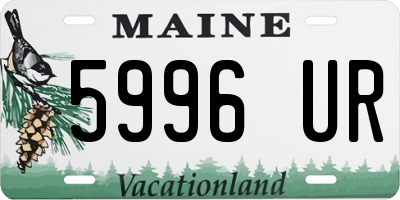 ME license plate 5996UR
