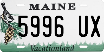 ME license plate 5996UX
