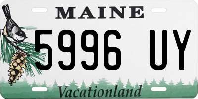 ME license plate 5996UY