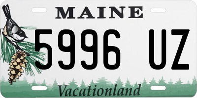 ME license plate 5996UZ