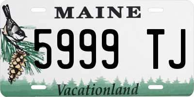 ME license plate 5999TJ