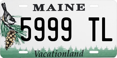 ME license plate 5999TL
