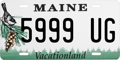 ME license plate 5999UG