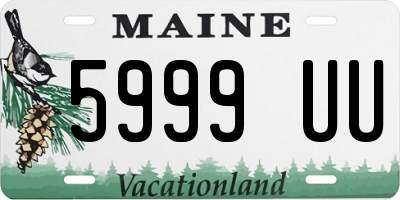 ME license plate 5999UU